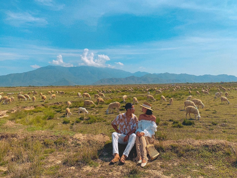 Đồng cừu Ninh Thuận
